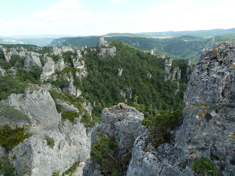 ../Images/2012-07-10-15h43m47 .jpg